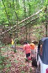 Tree Attack